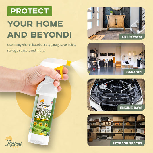 Mouse Repellent Spray - 16oz - Made With Peppermint Oil - Safe to Use Around Kids & Pets