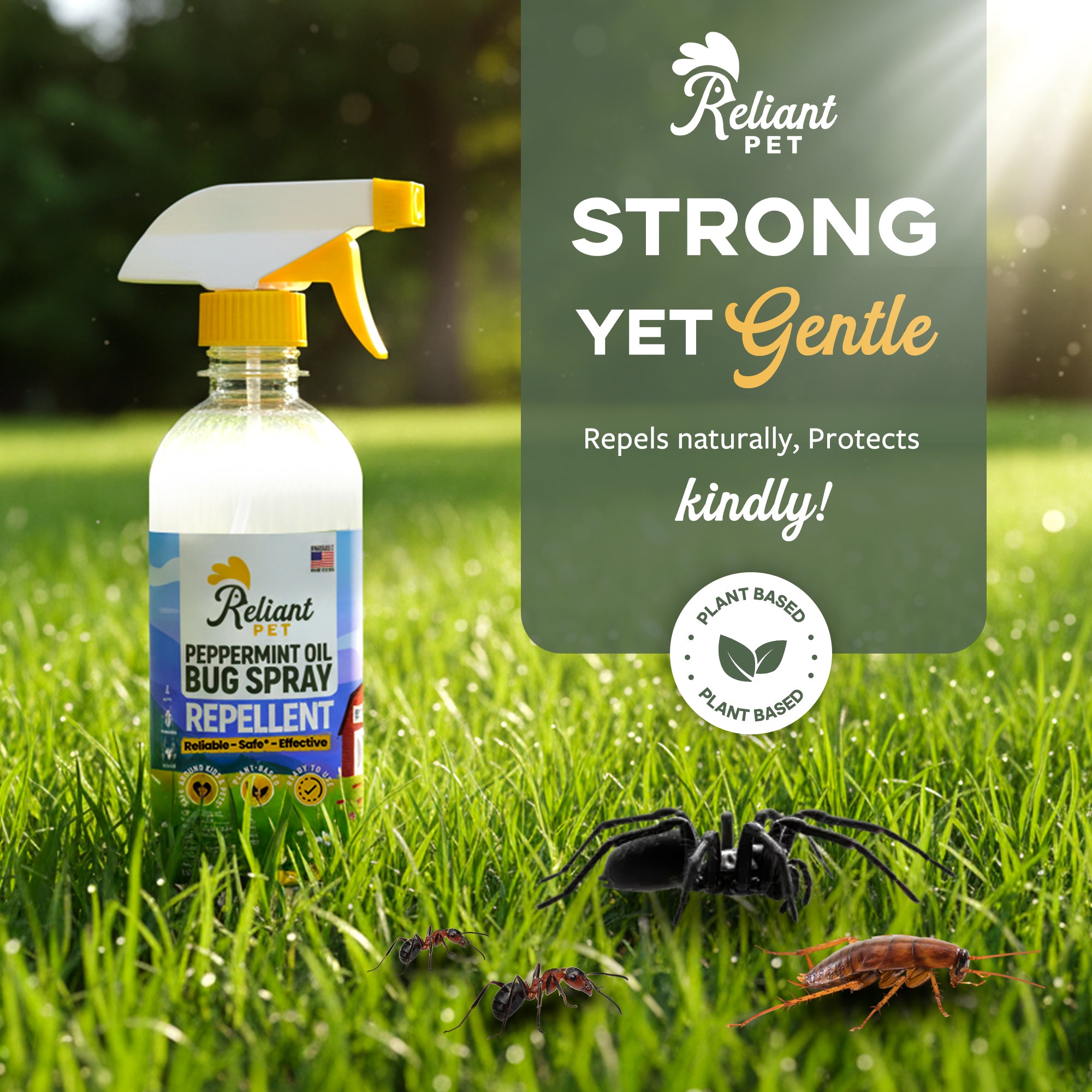 Peppermint Oil Bug Spray - 16oz