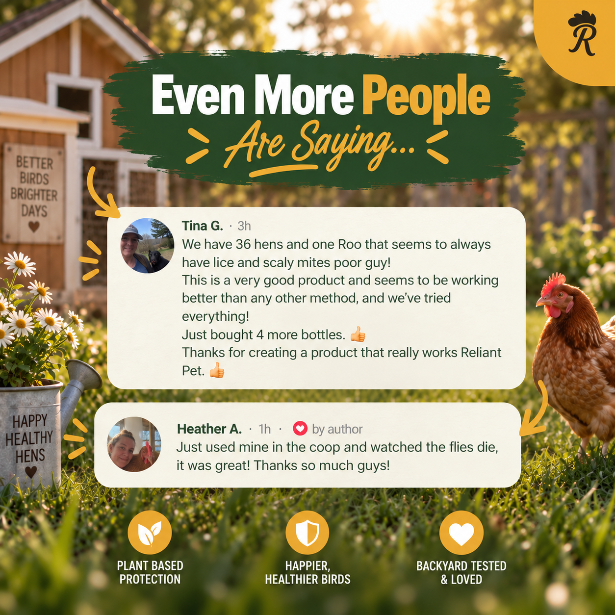 Chicken and Coop Poultry Spray