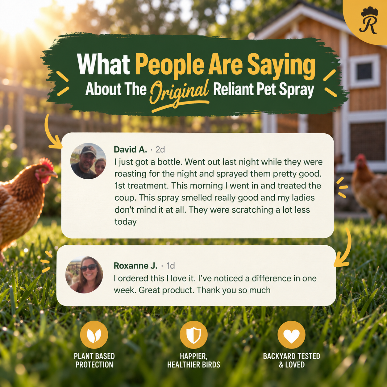 Chicken and Coop Poultry Spray
