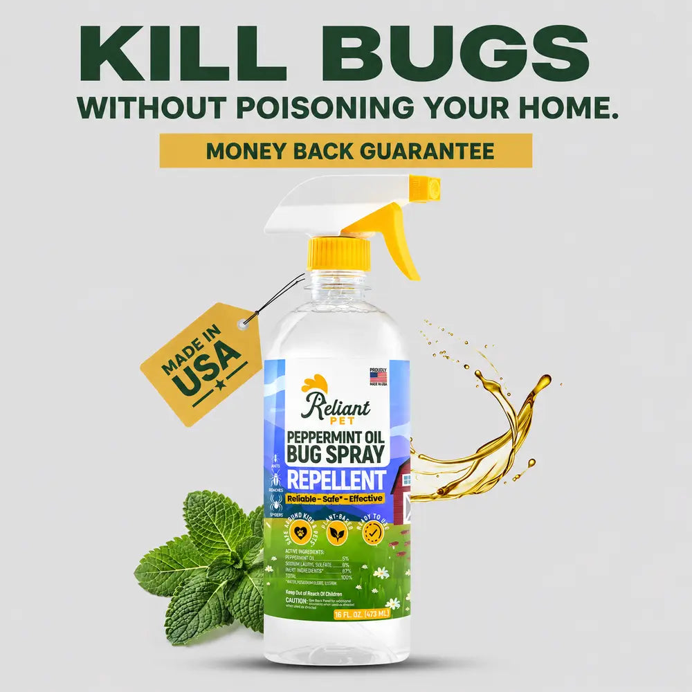 Peppermint Oil Bug Spray - 16oz
