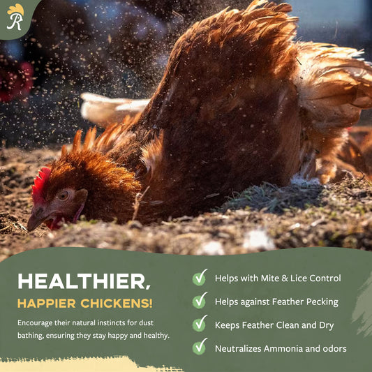 Chicken Dust Bath - 7LBS