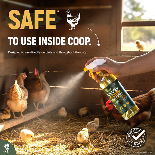 Chicken and Coop Poultry Spray - Safe to Spray On Chicken - No egg withdrawal needed