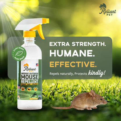 Mouse Repellent Spray - 16oz - Made With Peppermint Oil - Safe to Use Around Kids & Pets