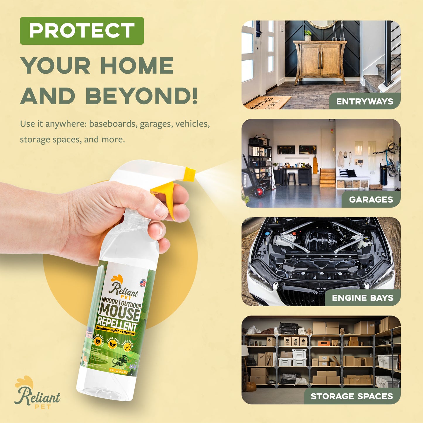 Mouse Repellent Spray - 16oz - Made With Peppermint Oil - Safe to Use Around Kids & Pets