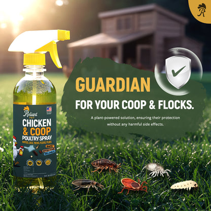 Chicken and Coop Poultry Spray - Safe to Spray On Chicken - No egg withdrawal needed