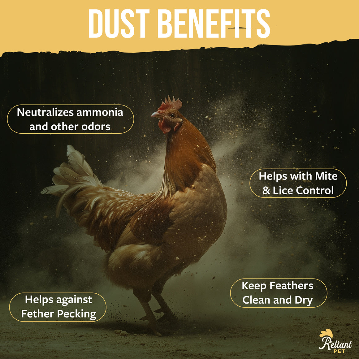 Chicken Dust Bath - 7LBS