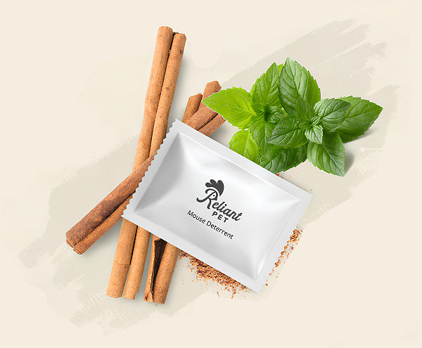 THE PRECISE BLEND OF PLANT-BASED INGREDIENTS.