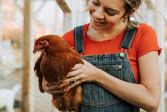 We Care for Your Animals Like They're Our Own