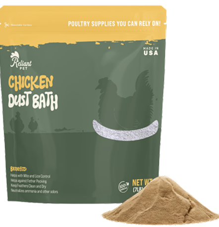 Chicken Dust Bath